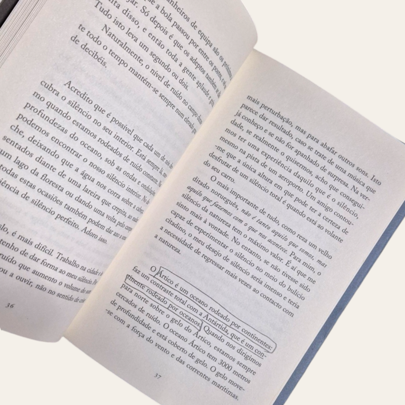 Silêncio na era do Ruído