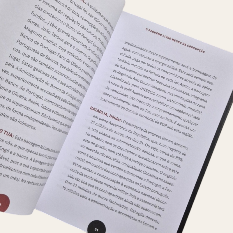 O Pequeno Livro Negro da Corrupção