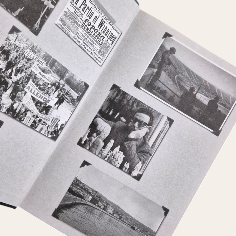 Longa Pétala de Mar