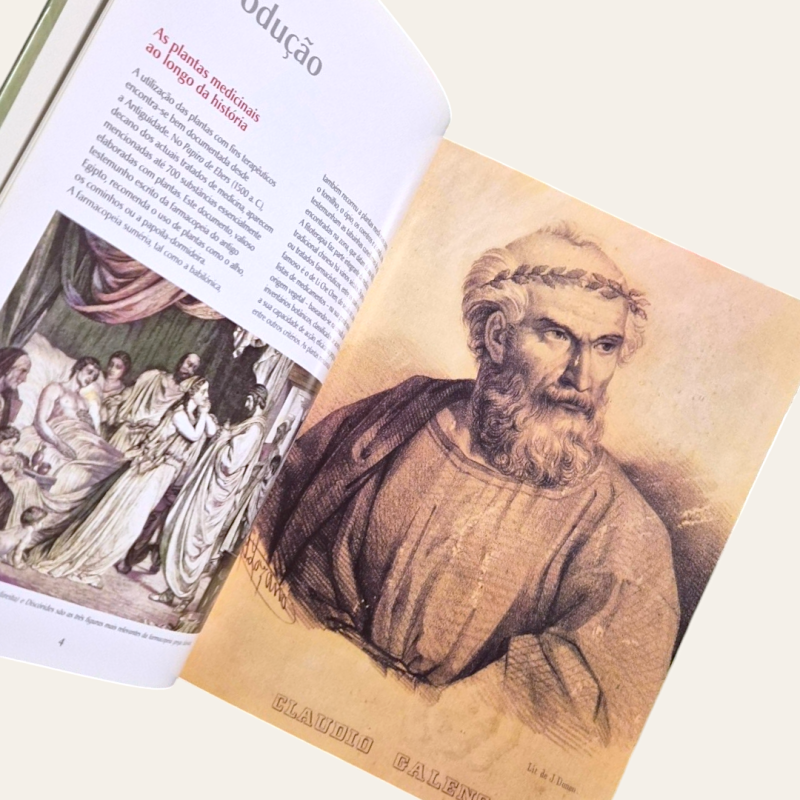Novo Guia das Plantas Medicinais