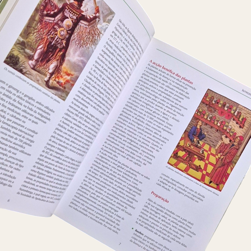 Novo Guia das Plantas Medicinais