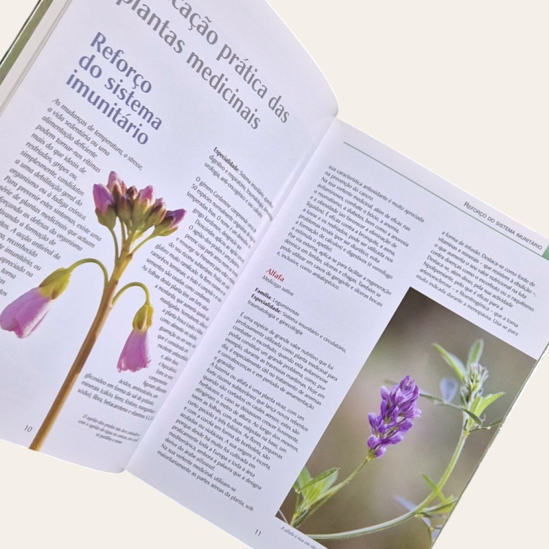 Novo Guia das Plantas Medicinais