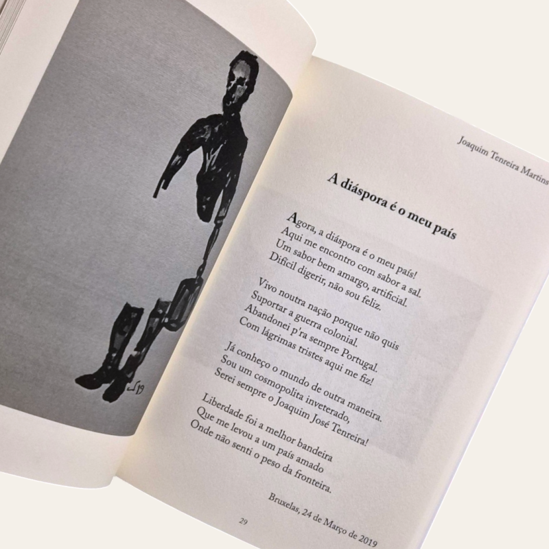 Meu país é a diáspora - sonetos