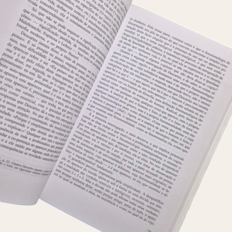 Encarnação: Uma Filosofia da Carne