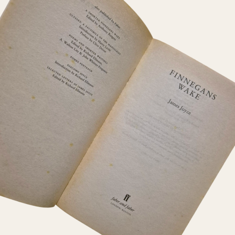 Finnegans Wake