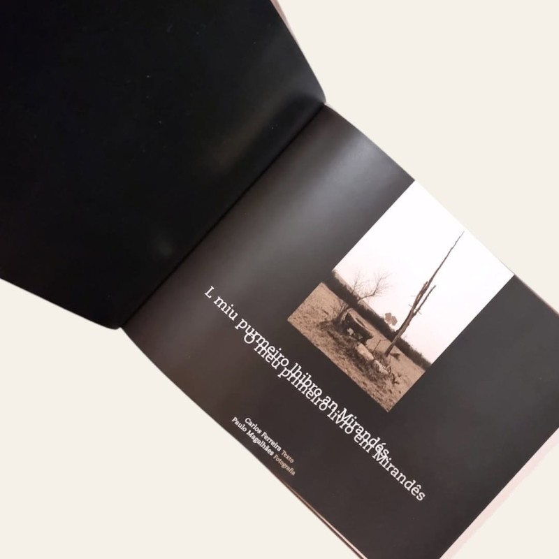O Meu Primeiro Livro em Mirandês