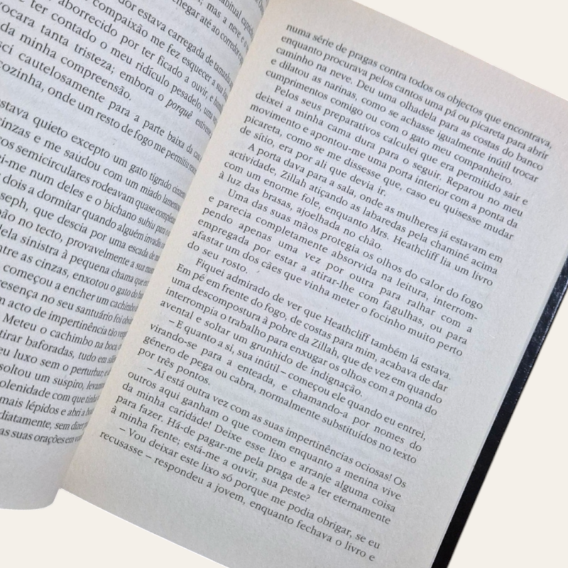 O Monte dos Vendavais