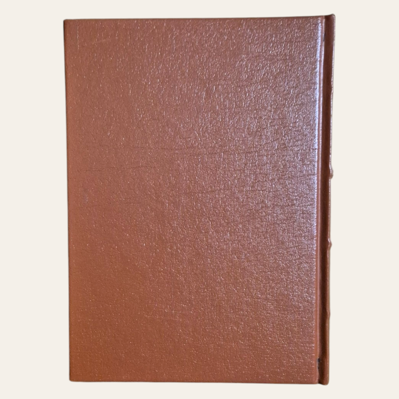 A Estepe | A Minha Vida