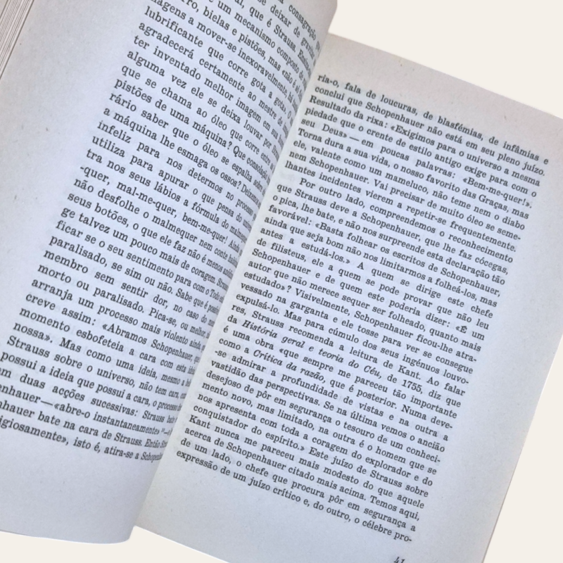 Considerações Intempestivas