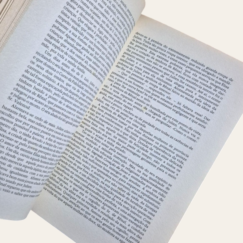 O Vermelho e o Negro