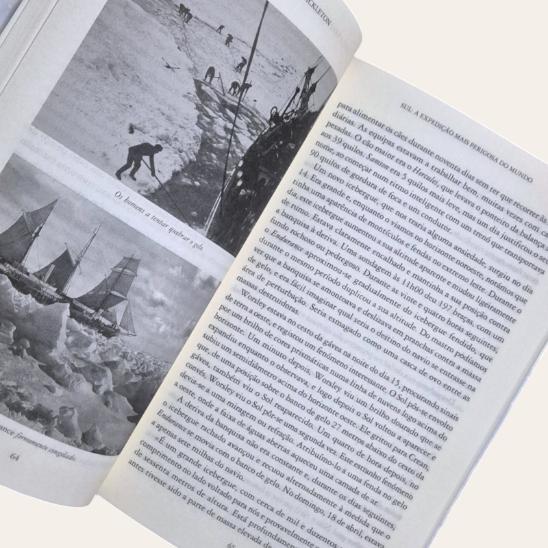 Sul - A Expedição Mais Perigosa do Mundo