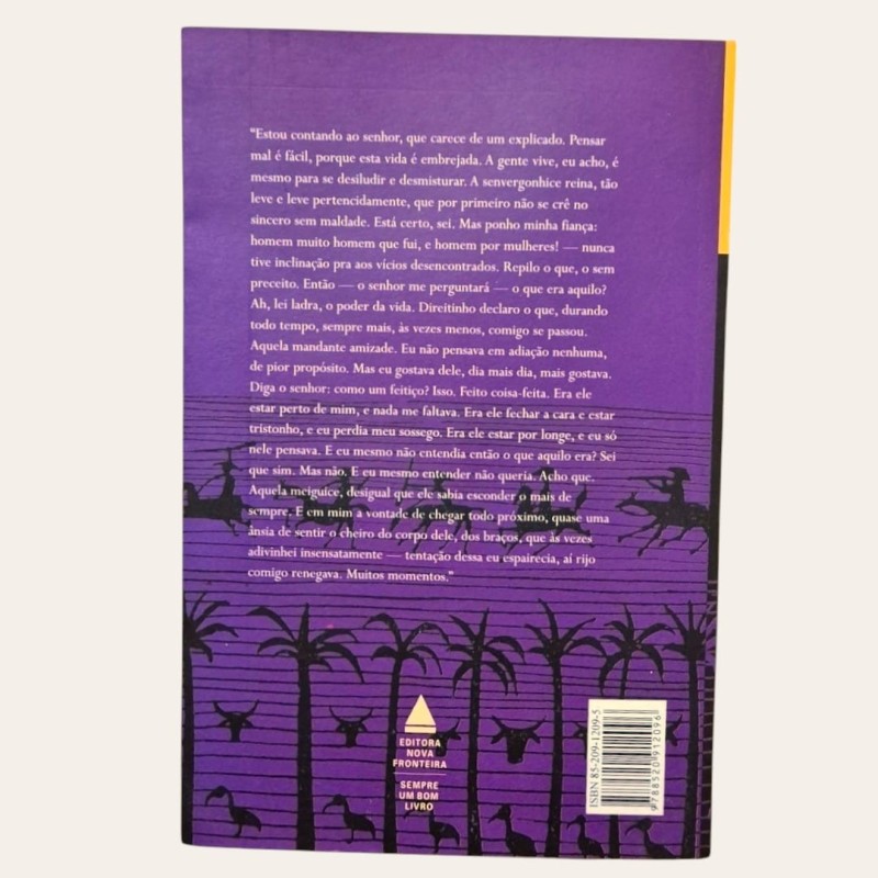 Grande Sertão: Veredas