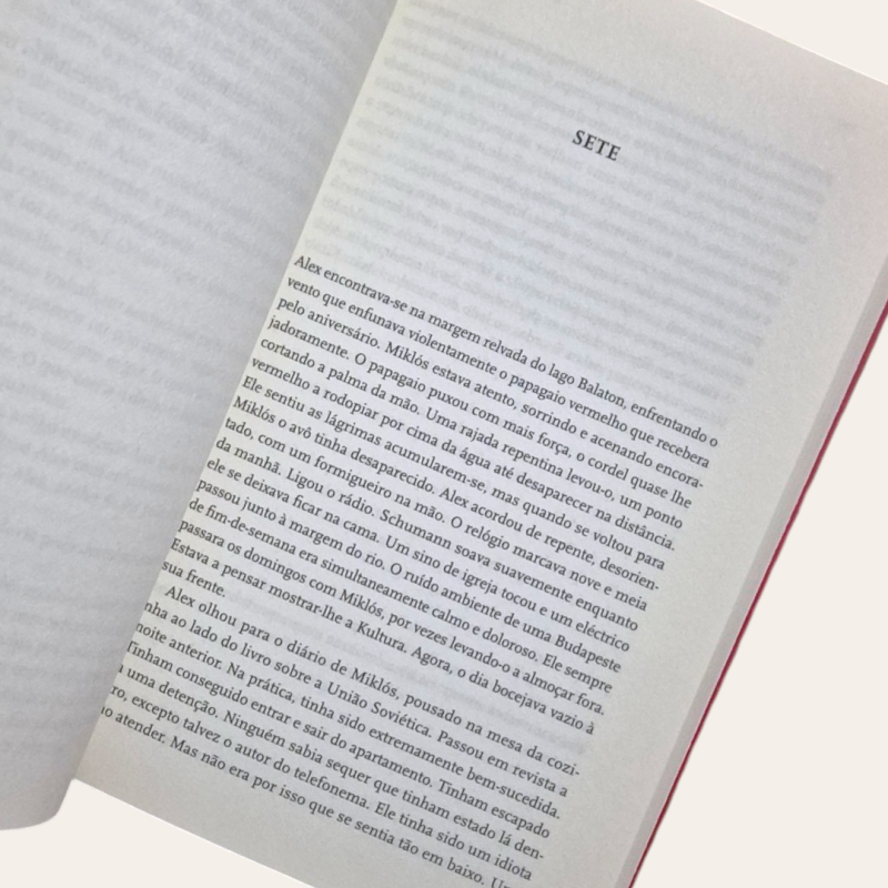 O Protocolo Budapeste