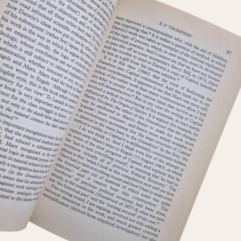 The Poverty of Theory