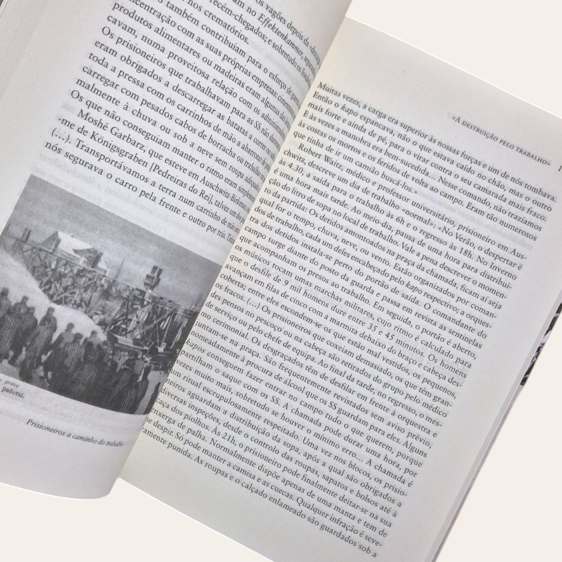 Auschwitz, Um Dia de Cada Vez