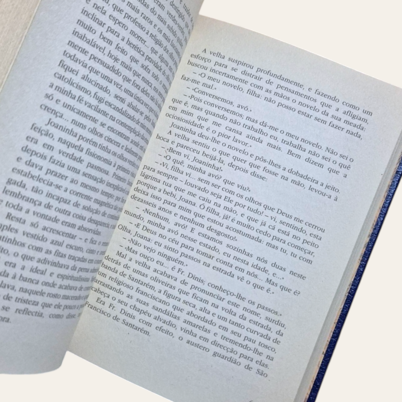 Viagens na Minha Terra