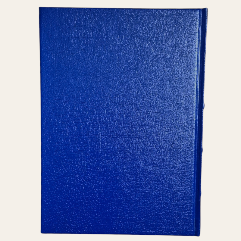 Viagens na Minha Terra