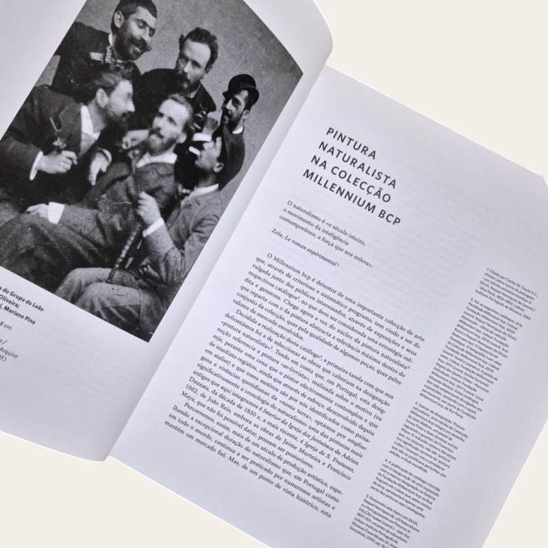 Pintura Naturalista na Coleção Millennium BCP
