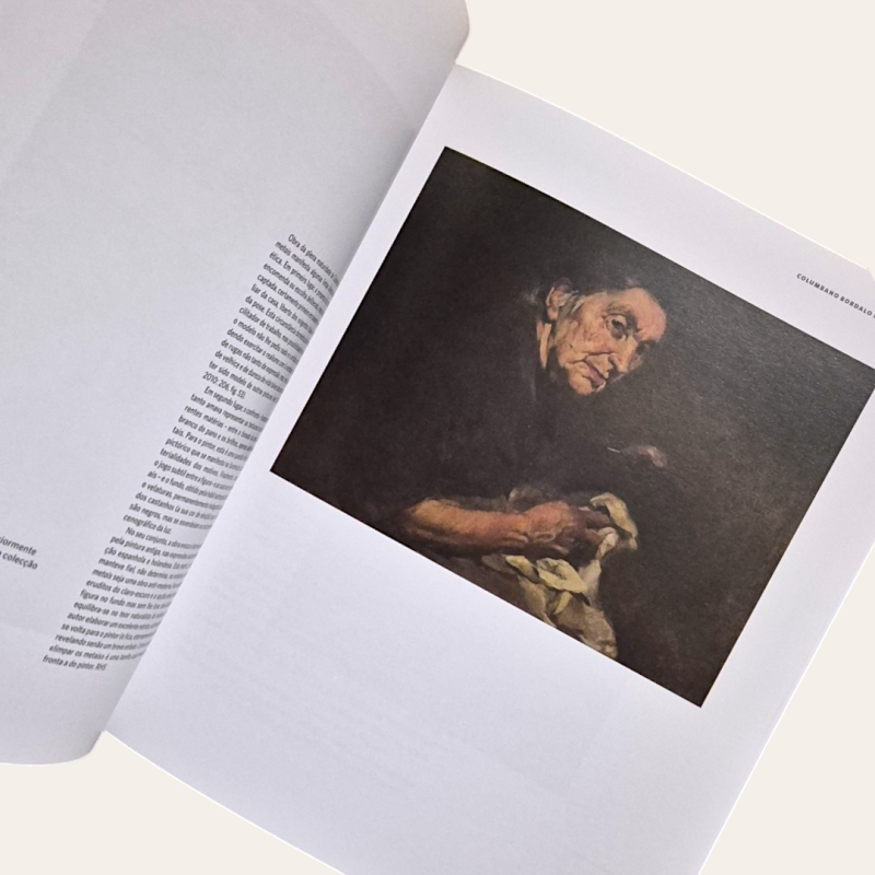 Pintura Naturalista na Coleção Millennium BCP