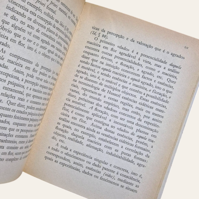 A Filosofia como Ciência de Rigor