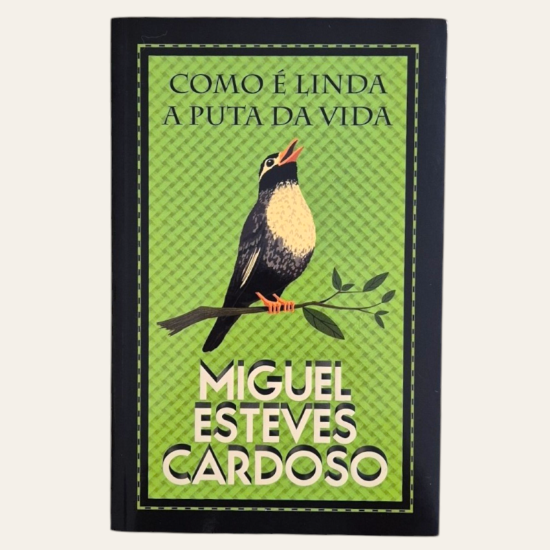 Como é Linda a Puta da Vida