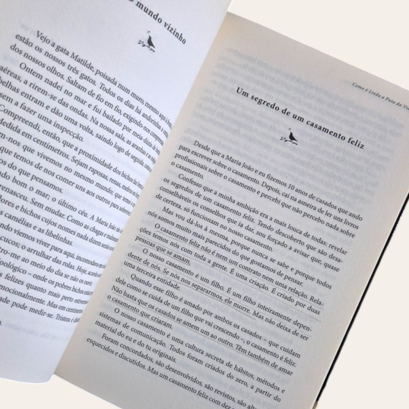 Como é Linda a Puta da Vida