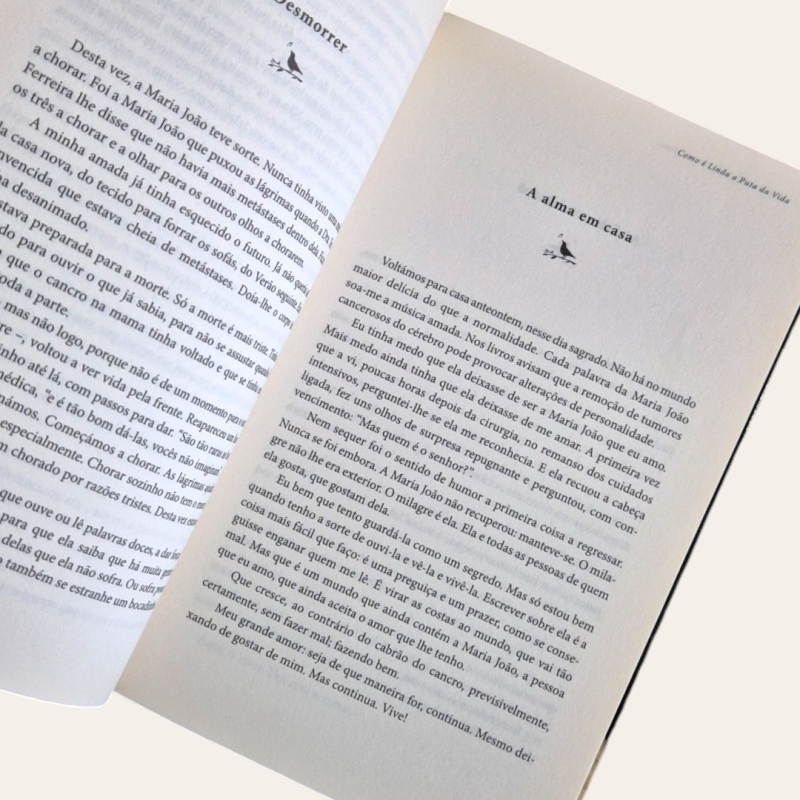 Como é Linda a Puta da Vida