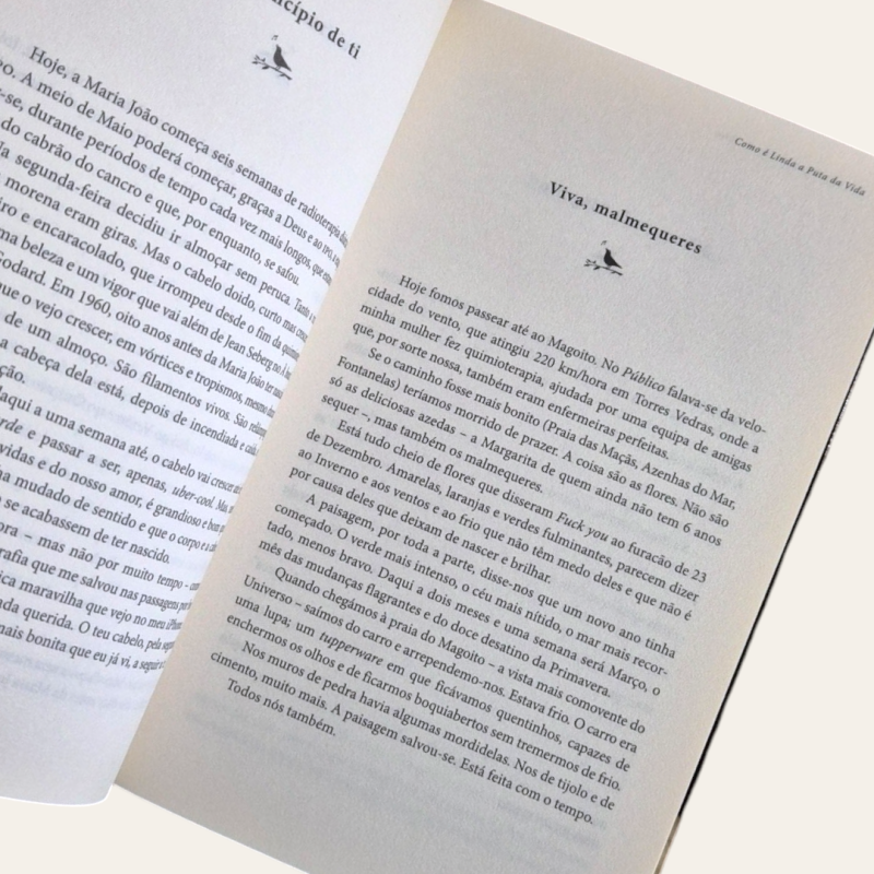 Como é Linda a Puta da Vida