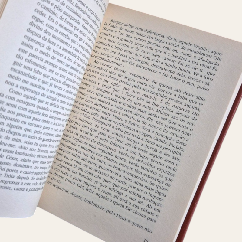 A Divina Comédia (Tomo I e II)