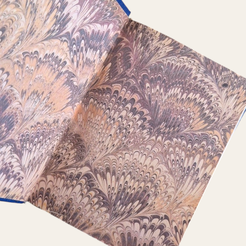 A Ilustre Casa de Ramires