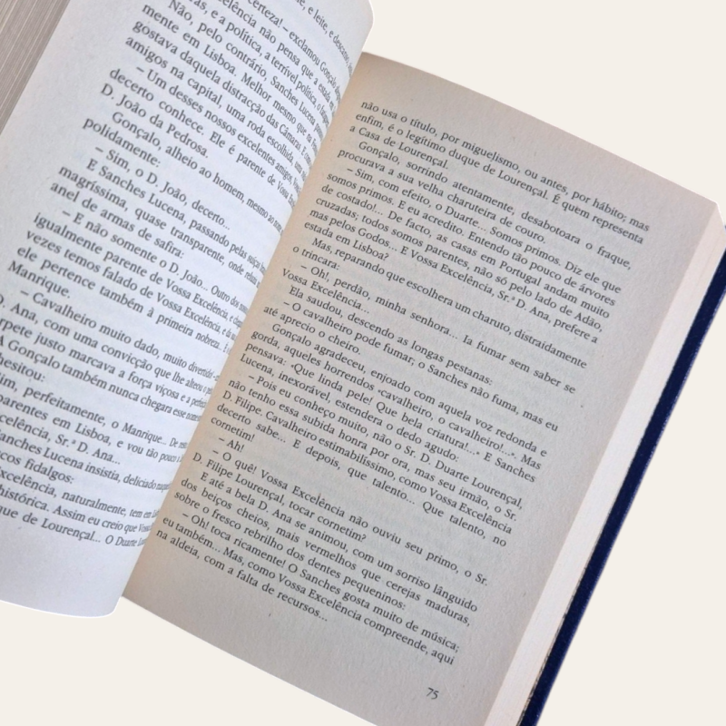 A Ilustre Casa de Ramires