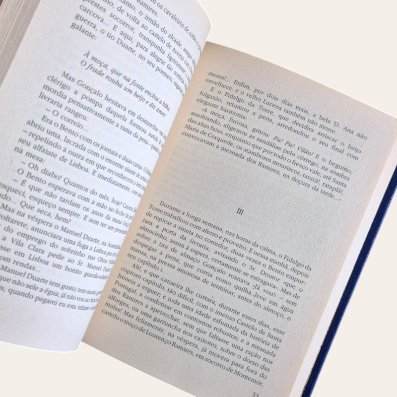 A Ilustre Casa de Ramires