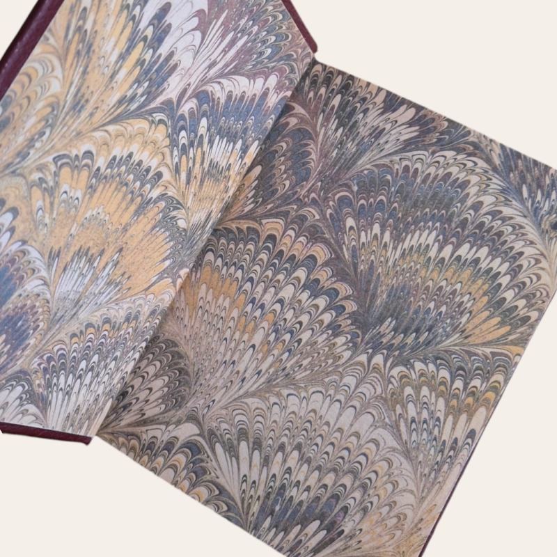 Uma Casa de Boneca | O Pato Selvagem