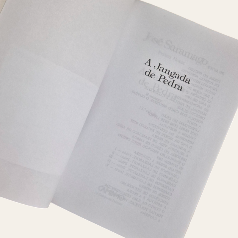 A Jangada de Pedra