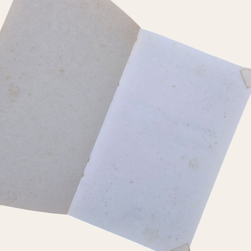 Constituição dos E.U.A.