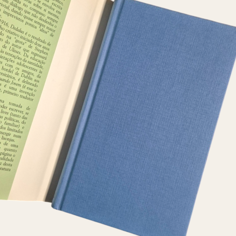 Retrato do Artista Quando Jovem