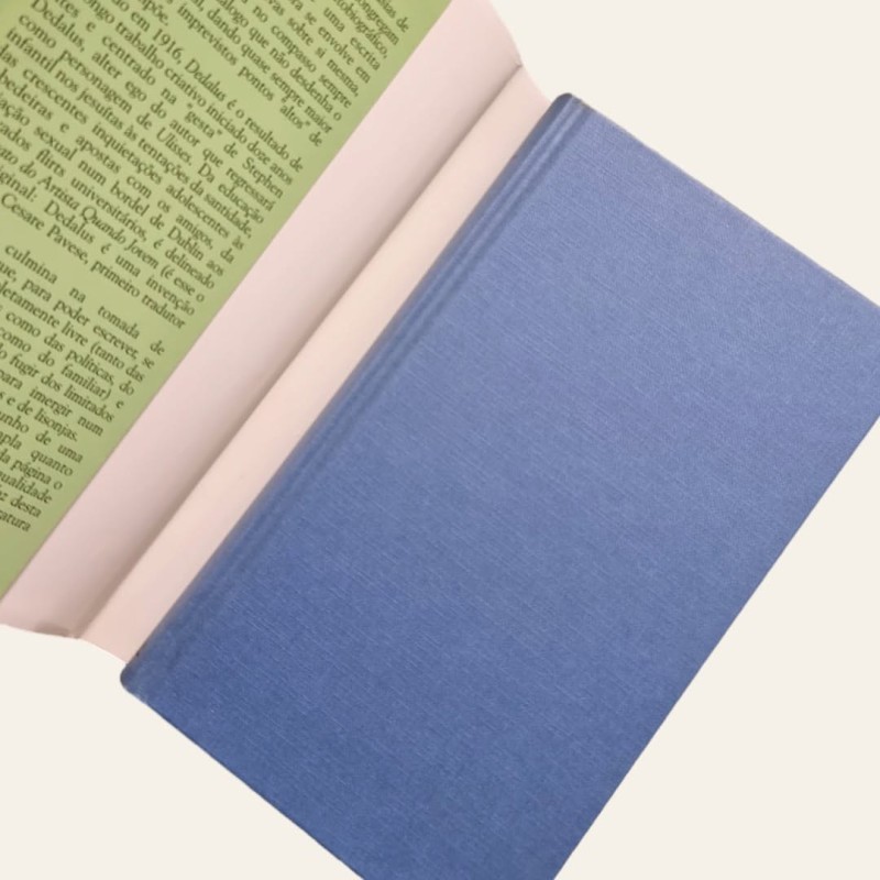 Retrato do Artista Quando Jovem