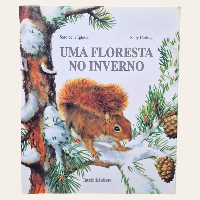 Uma Floresta no Inverno - Desdobrável