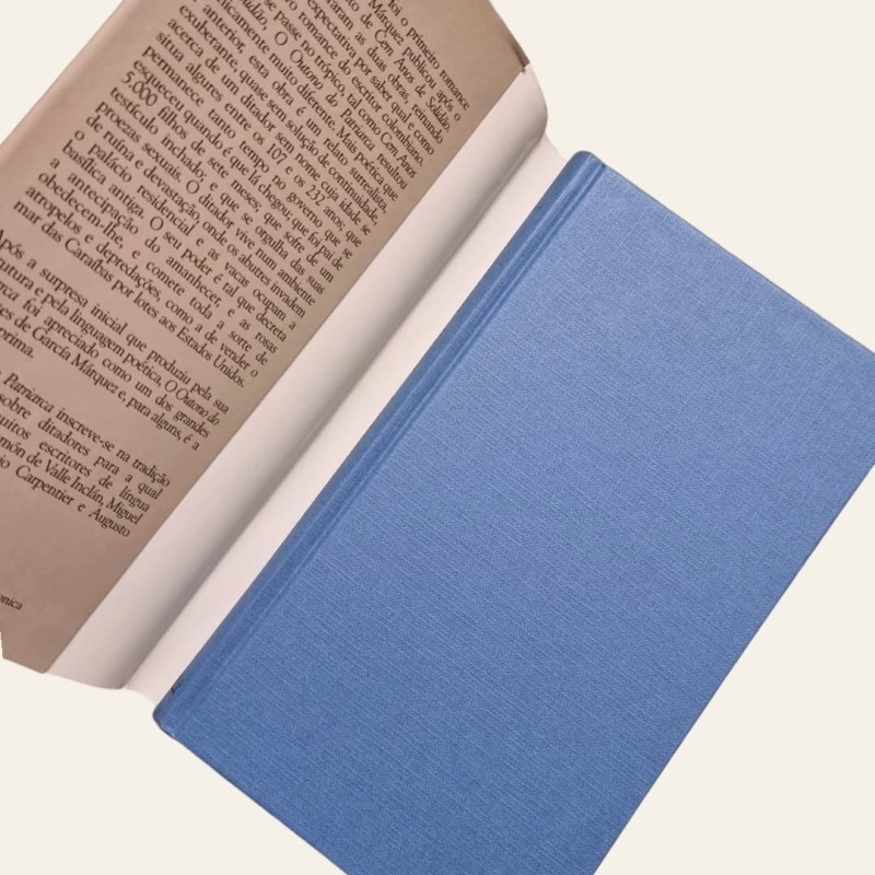 O Outono do Patriarca