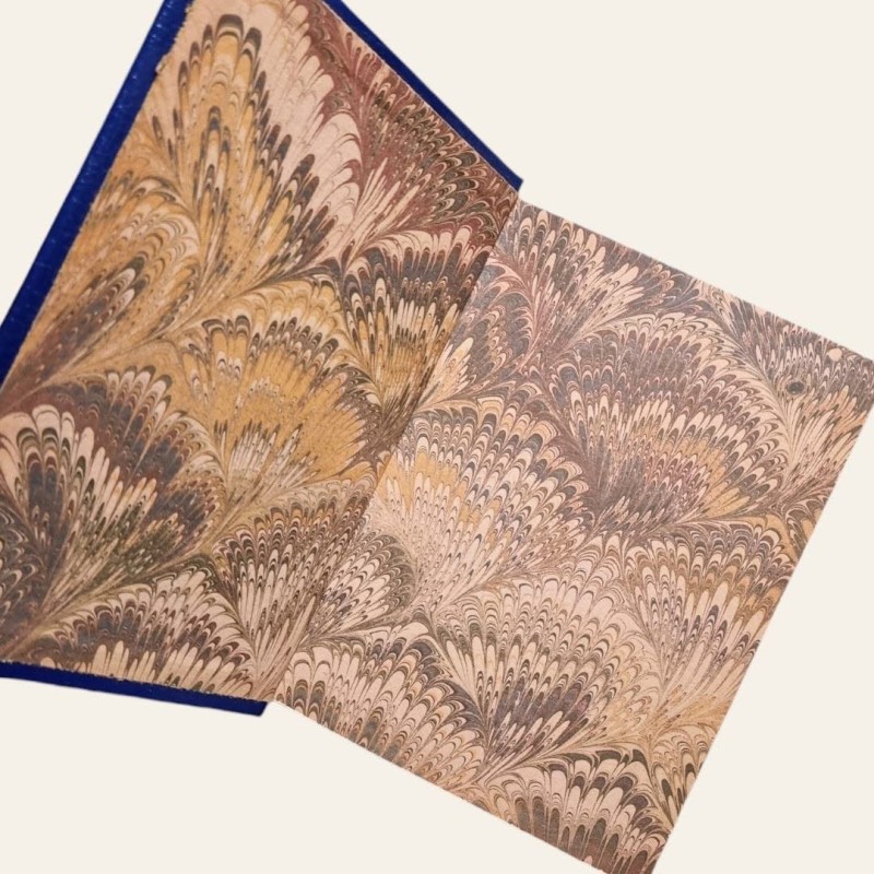 A Ilustre Casa de Ramires