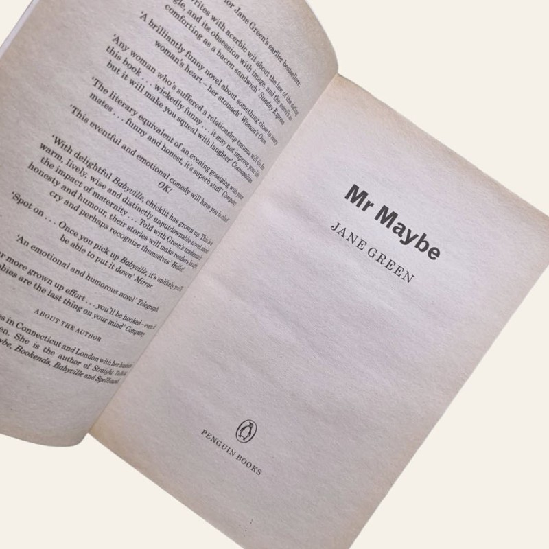 Mr. Maybe