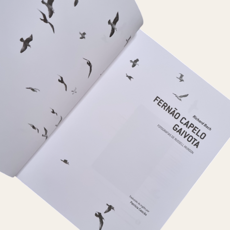 Fernão Capelo Gaivota