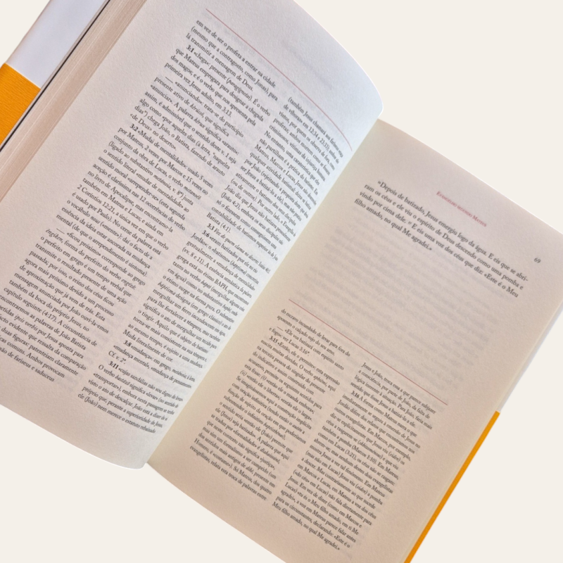 Volume I - Novo Testamento: Os Quatro Evangelhos