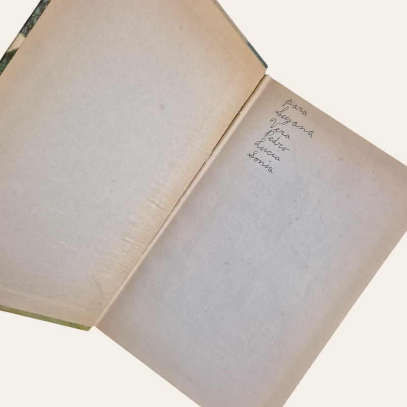 Professor Diggins Dragons