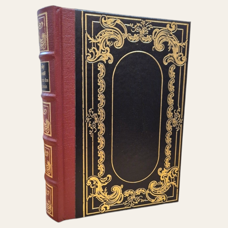 O Monte dos Vendavais