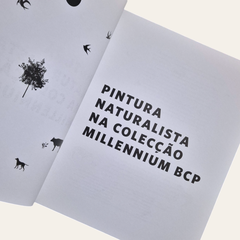 Pintura Naturalista na Coleção Millennium BCP